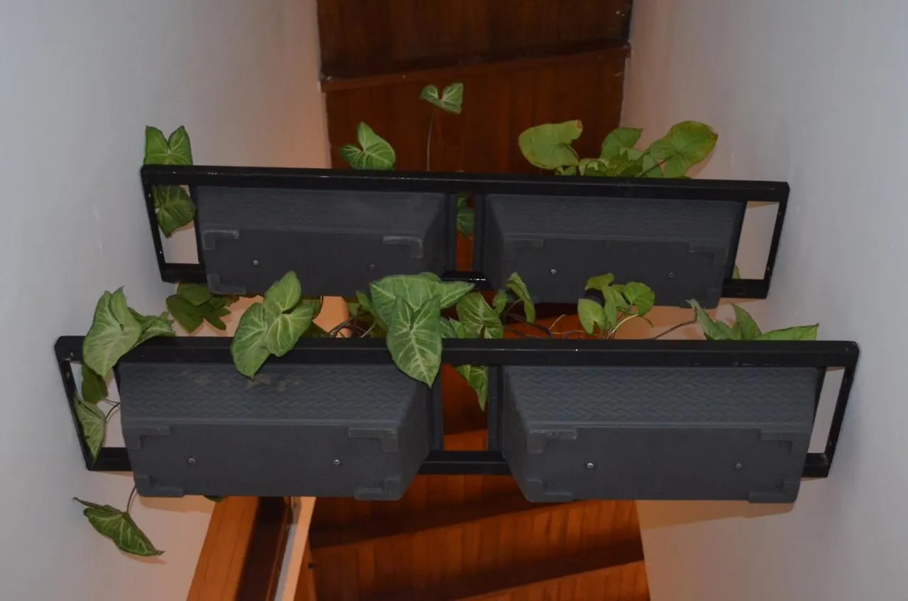 ** Guest house Brick Hostel Medellin Colombia